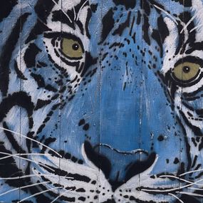 Blue tiger focus, Mosko