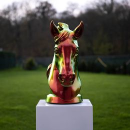 Horse xtrem colors, Xavier Wttrwulghe